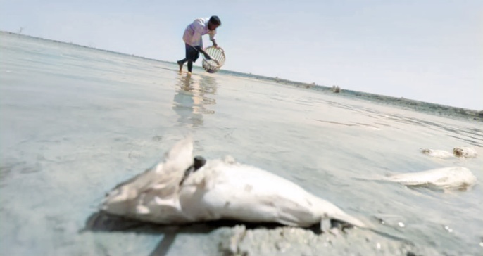 تحذيرات تفاقم «ملوحة» شط العرب «تتصاعد».. فهل ستفجر الأوضاع بالبصرة؟