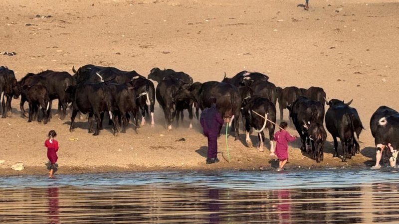 الكارثة تلوح في الأفق ومناطق تتلوث بعد "هجرة الأهوار".. الفرات يختنق بالفضلات والمياه الراكدة