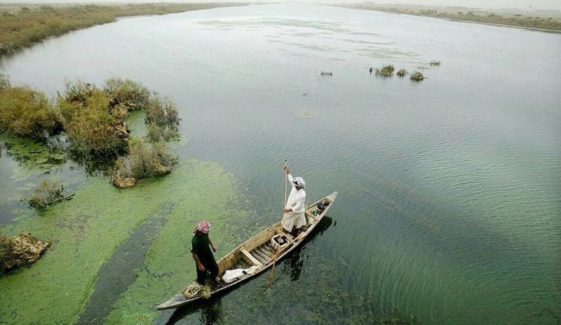 مركز إنعاش الأهوار: خطط لتعزيز الحياة في الأهوار وضمان بقاء سكانها