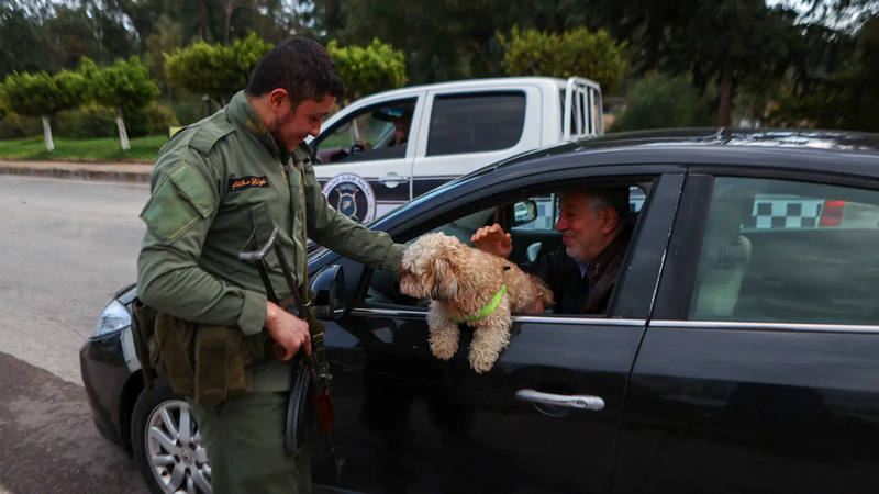 رهاب الحرب يصيب الحيوانات الأليفة في سوريا.. والأطباء يحذرون