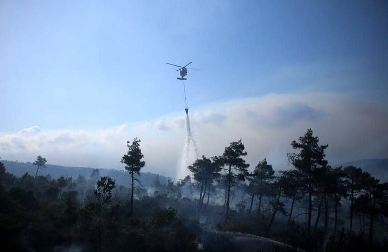 سوريا.. انطلاق طائرات إطفاء أوروبية من قبرص لإخماد حرائق غابات اللاذقية
