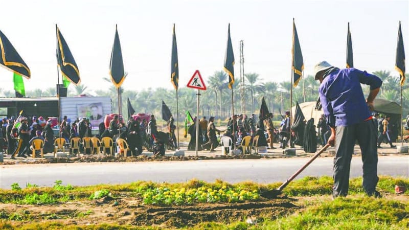 أمانة بغداد: زراعة 160 ألف شجرة معمرة