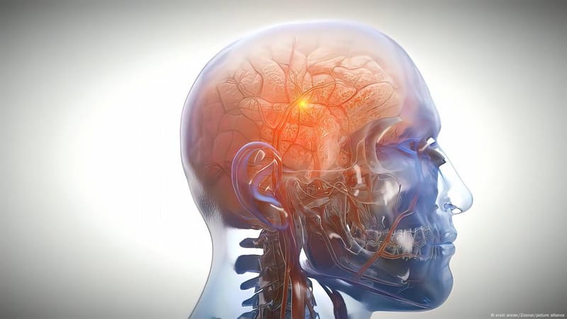 اكتشاف جديد حول تأثير الدهون على الدماغ