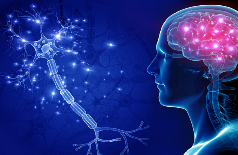 علماء: البشرية تعيش مرحلة جديدة من التطور