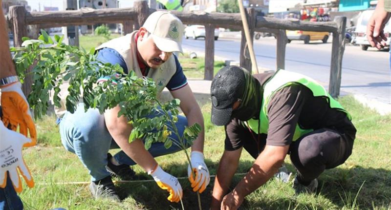 الزراعة: أكثر من 8 ملايين شجرة ضمن المبادرة الوطنية للتشجير