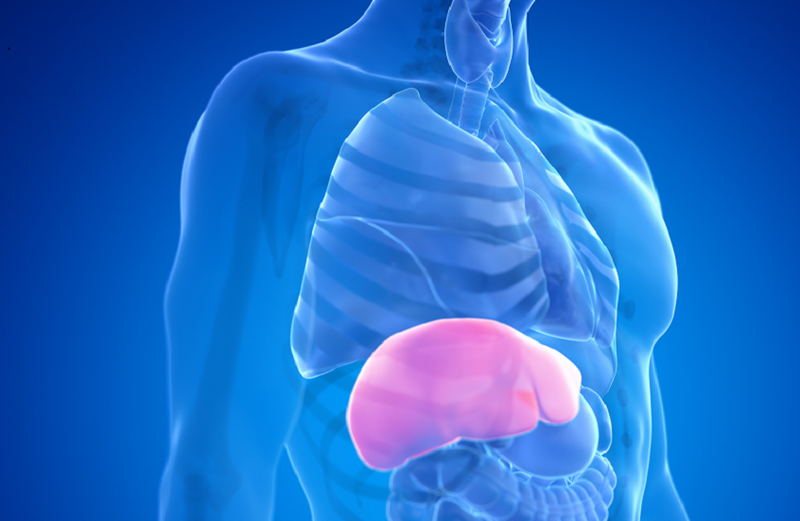 علامات خفية تنذر بأمراض الكبد