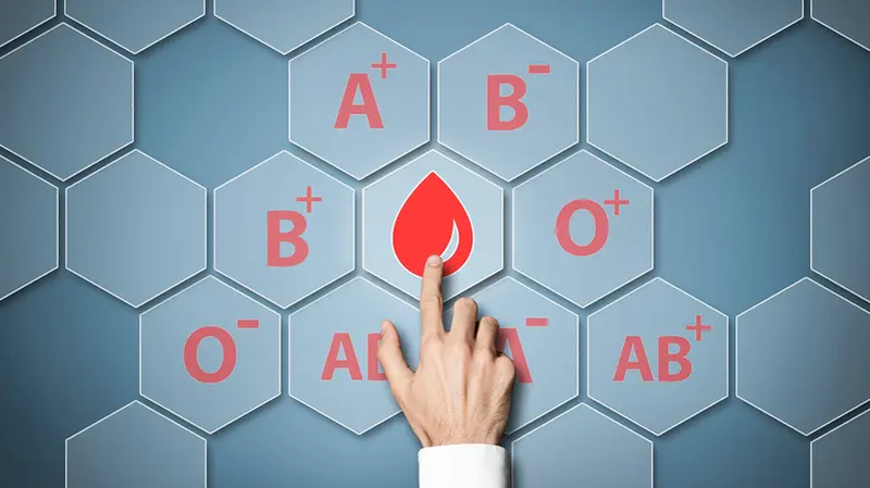 مفاجأة.. نجاح تجارب تحويل كلية من فصيلة الدم A إلى O