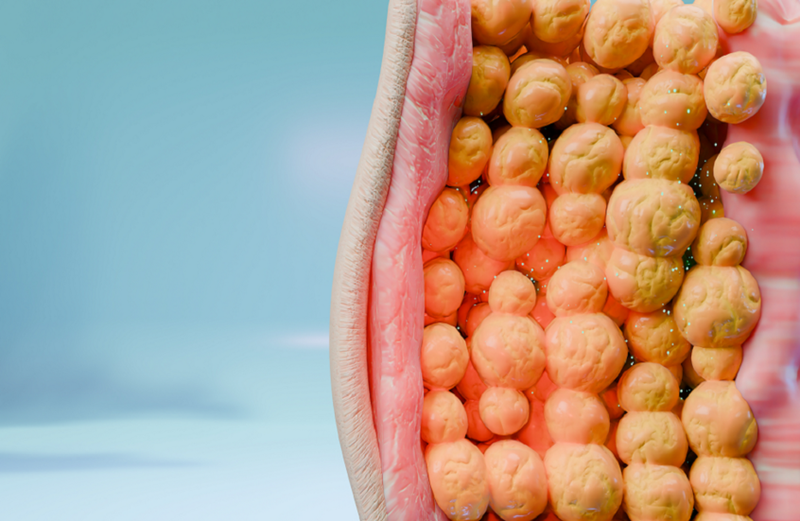 كربوهيدرات خريفية مثالية لحرق الدهون بسرعة