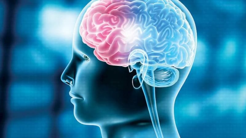 باحثون يحددون الأطعمة والمشروبات الأكثر ضرراً على الدماغ