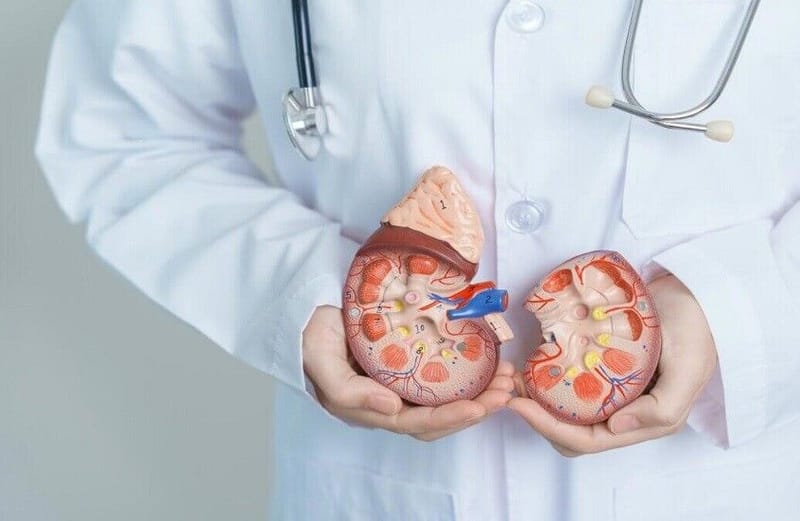 الصحة العالمية: تضاعف عدد البالغين المصابين بأمراض الكلى المزمنة في العالم منذ عام 1990