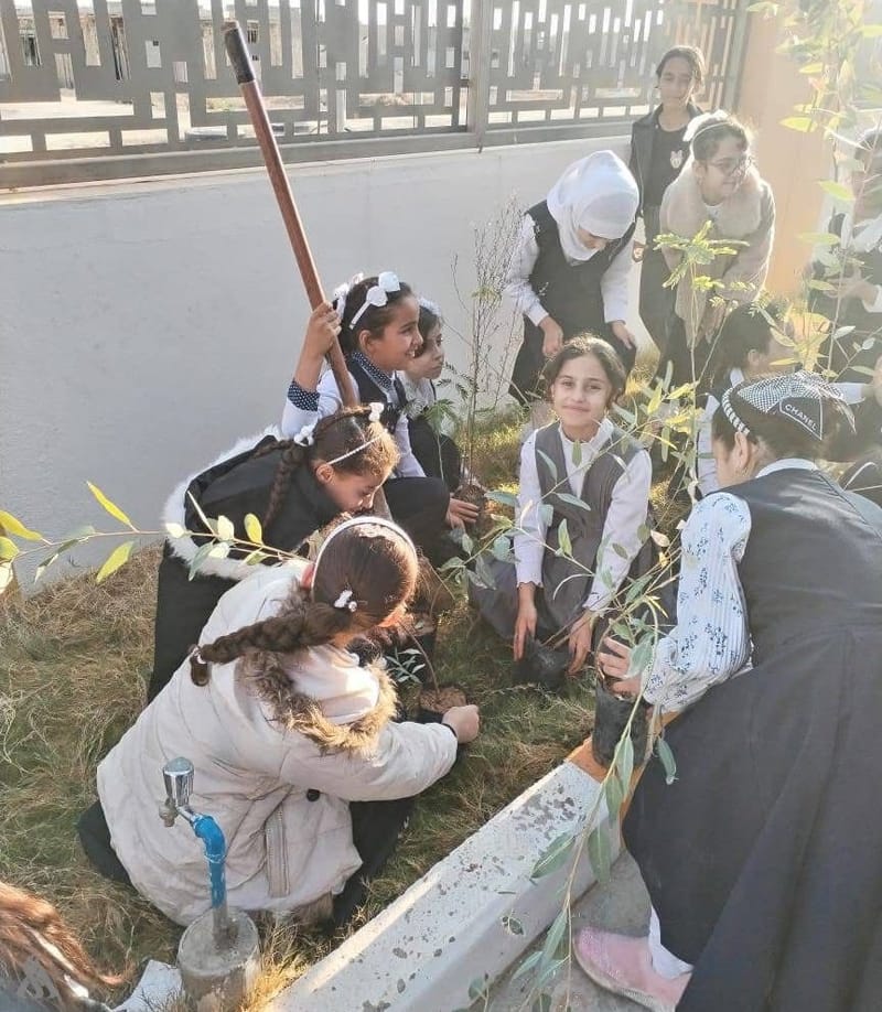 تربية الأنبار تطلق حملة لتشجير حدائق المدارس وزراعة 800 شتلة