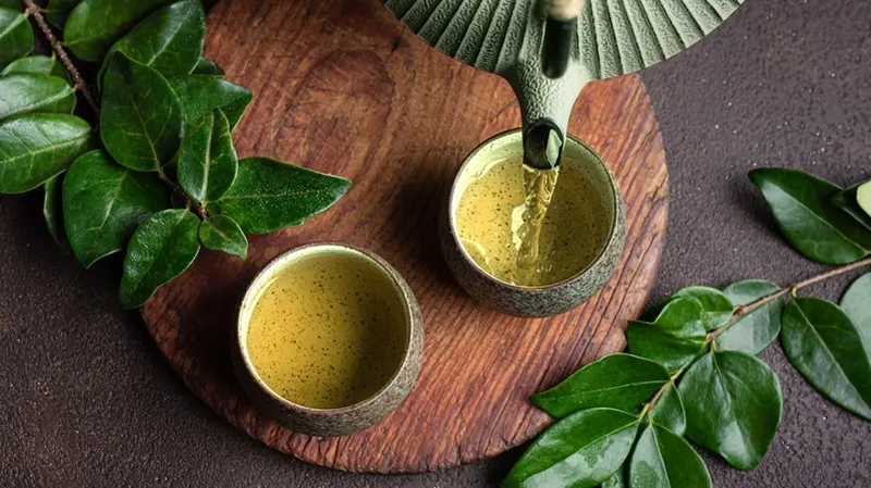 مشروبات غنية بمضادات الأكسدة بديلة للشاي الأخضر
