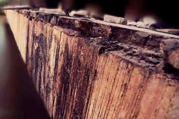 مجلس الوزراء يقر إجراءات لتخليد شهداء مجزرة سبايكر بوقفة صمت وشعار رسمي