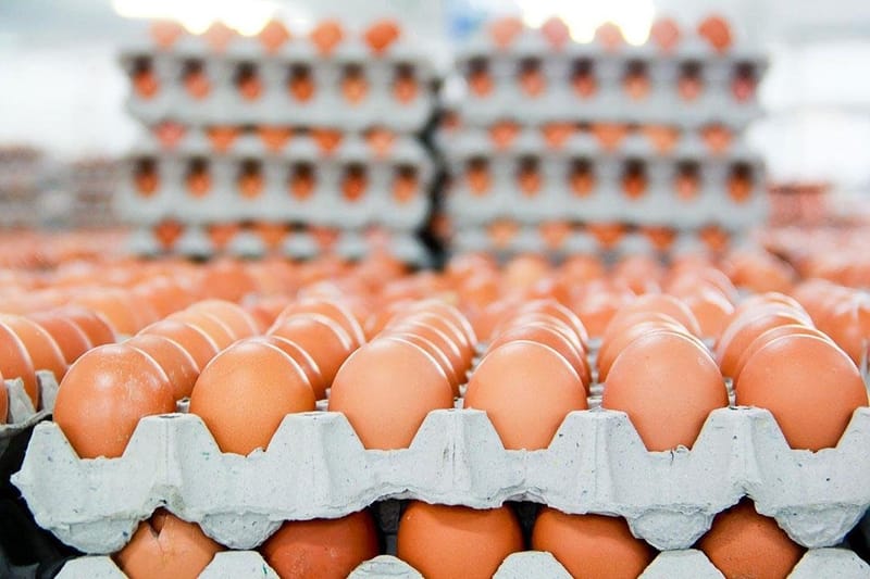 الكمارك العراقية تباشر إدخال بيض المائدة بعد قرار حكومي لمعالجة ارتفاع الأسعار