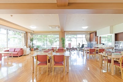 Understanding the steps for nursing home and rehabilitation placement