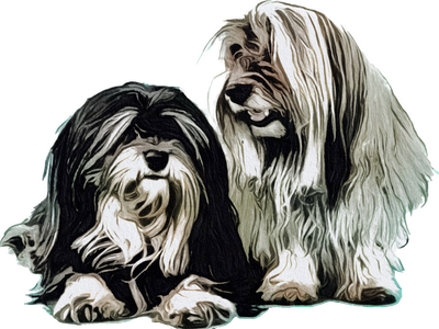 EllinglyHavanese.com