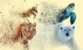 SOS Natura: il grido silenzioso degli animali in via d'estinzione