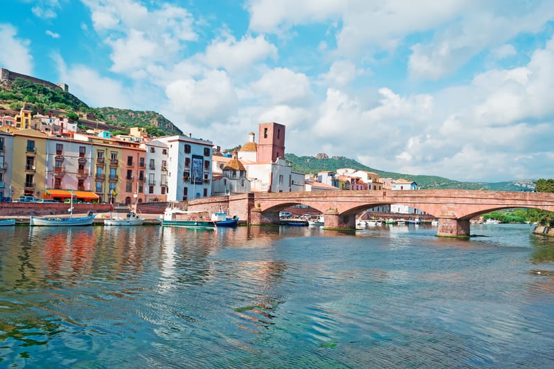 The Temo River of Bosa and the restoration of the ecosystem: an indissoluble bond