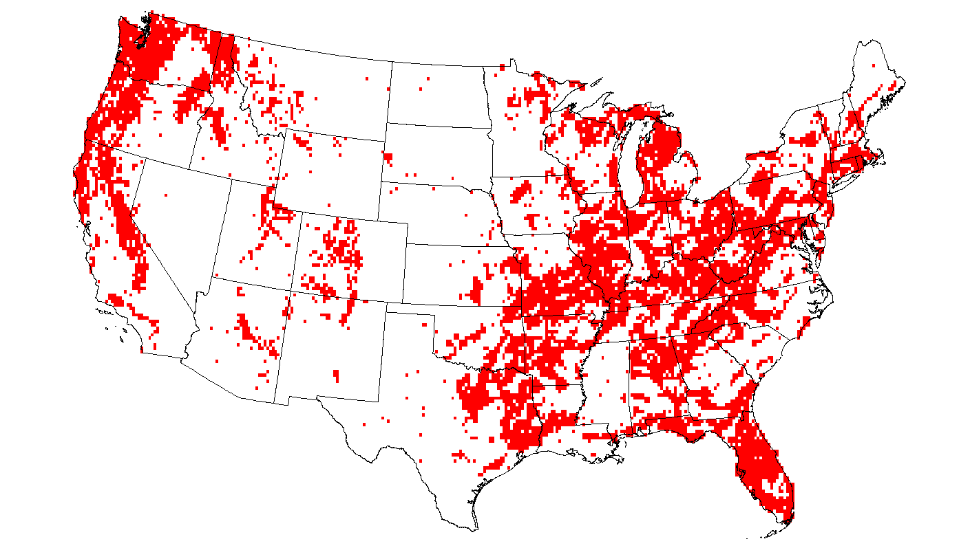 Distribution ( Reported )
