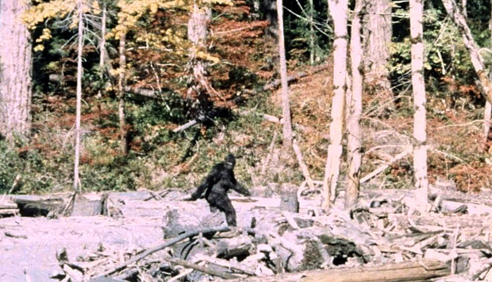 Bigfoot Origin Story