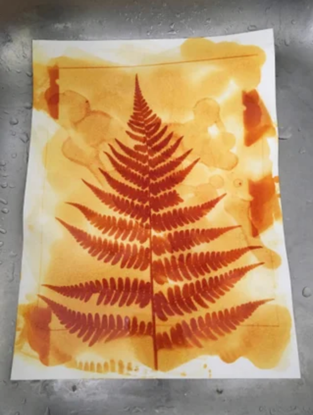 Adult Craft: Turmeric Prints