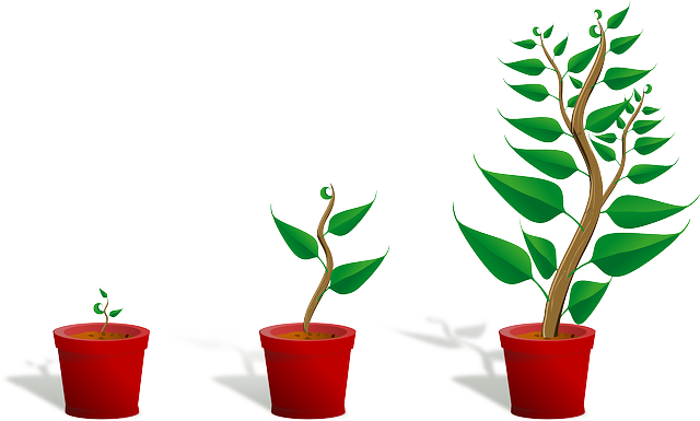 Library Plant Swap