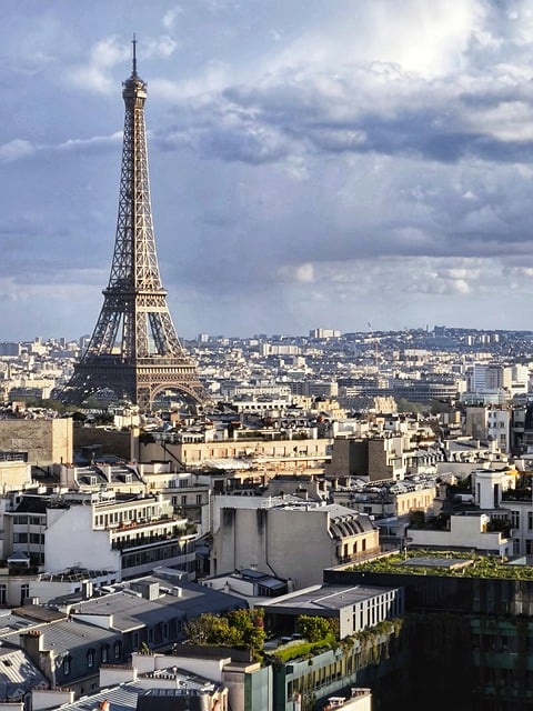 Library Travel Guide: Paris