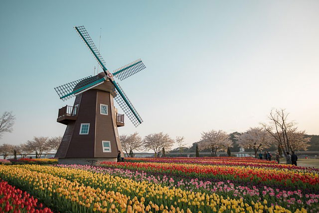 Library Travel Guide: The Netherlands!