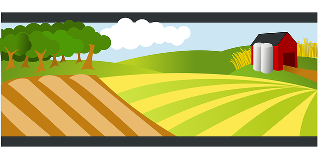 Storytime for 0-3's: Down on the Farm