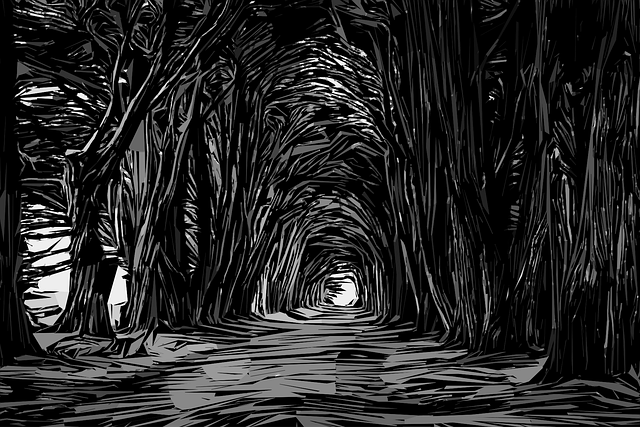 Storytime for 4-9's: In the Dark, Dark Woods!