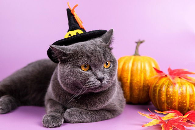 Storytime for 0-3's: Halloween Fun!