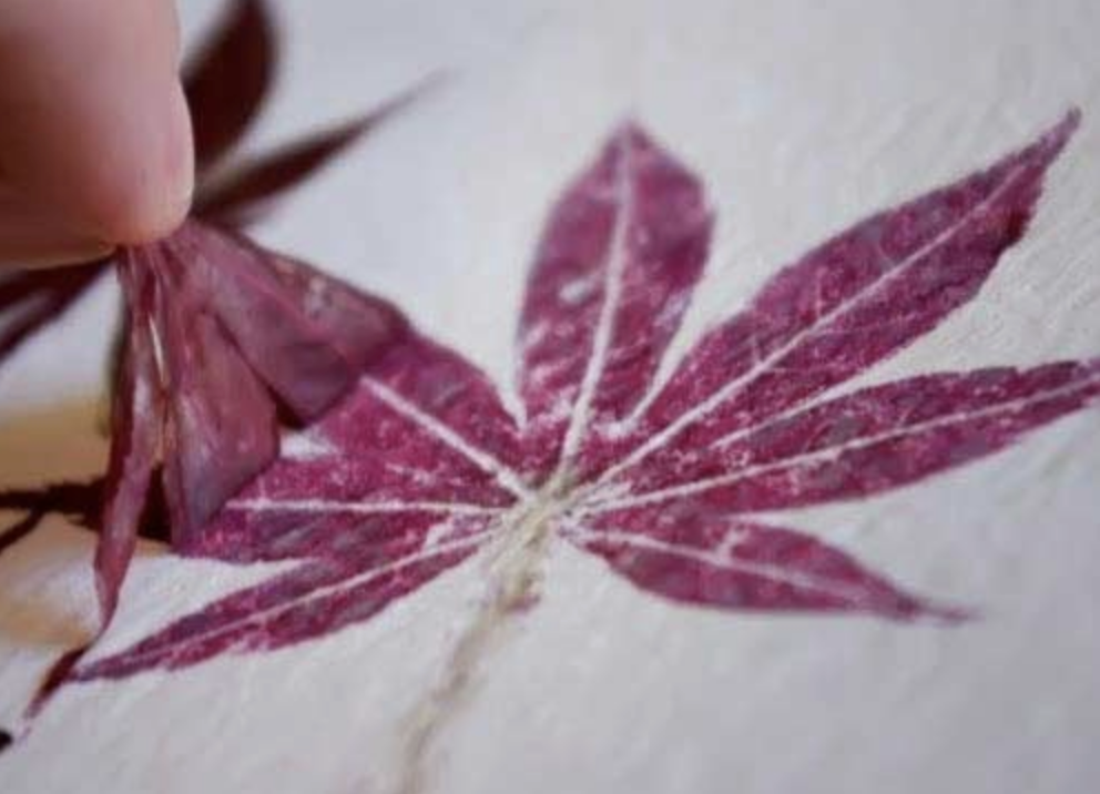 Adult Crafts: Hammered Flower Prints