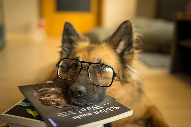 Read to a Dog