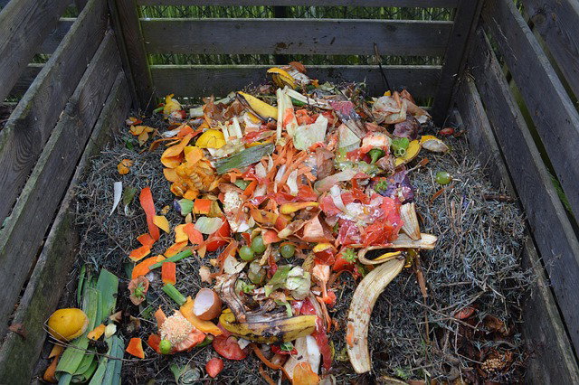 The Power of Composting