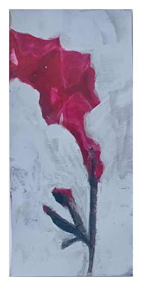 Klicken Sie auf ein Bild, um es zu vergrößern.