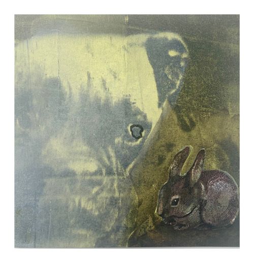 Klicken Sie auf ein Bild, um es zu vergrößern.