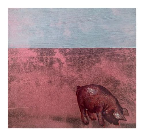 Klicken Sie auf ein Bild, um es zu vergrößern.