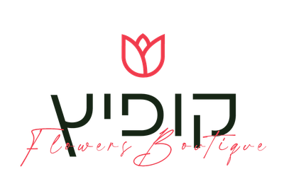 אודות image