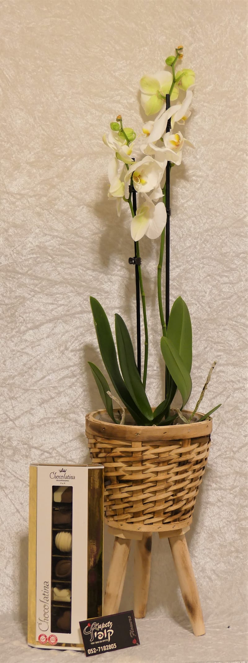 עיצובי פרלינים יוקרתיים