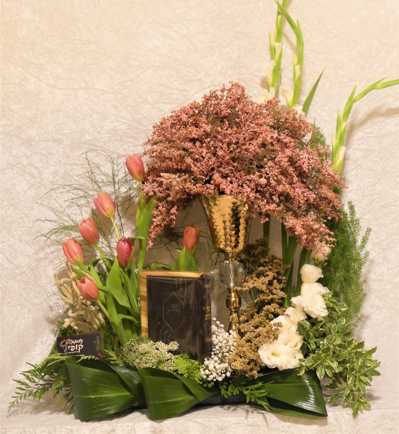 עיצובי מחזורים