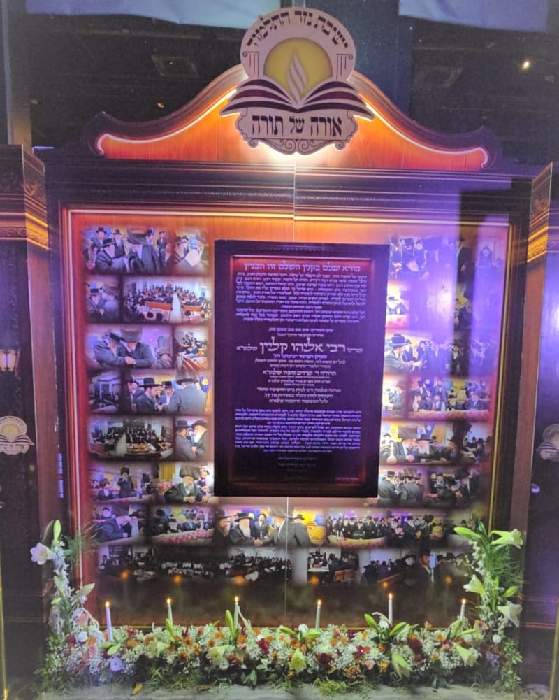 פרחים לבית ולמוסדות