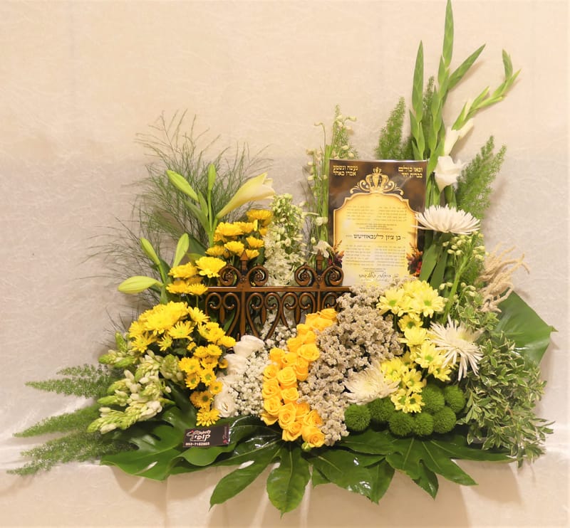 עיצובים מקוריים