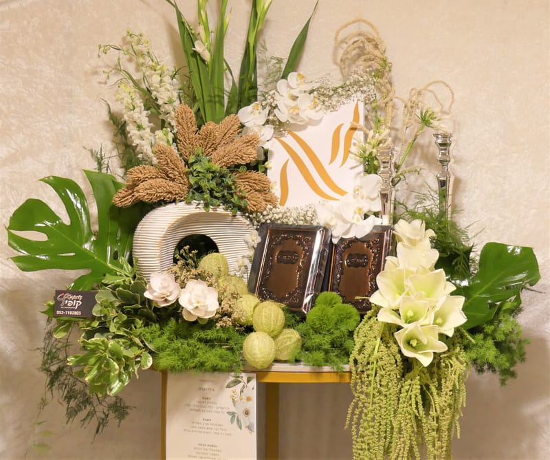 עיצובי פמוטים