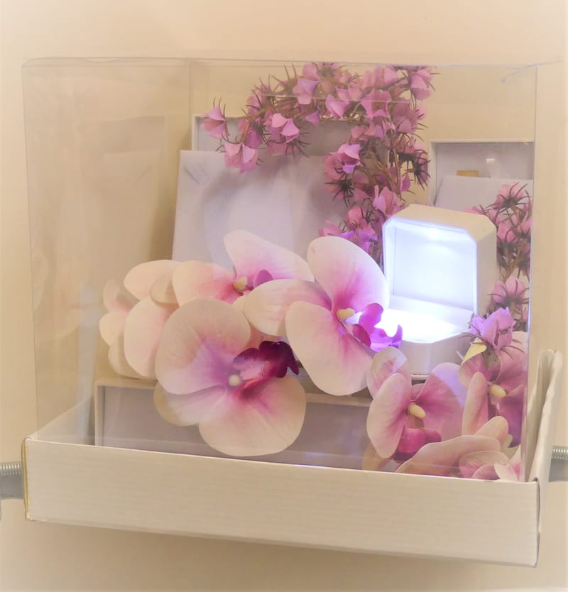 עיצובי תכשיטים בתוך קופסא שקופה