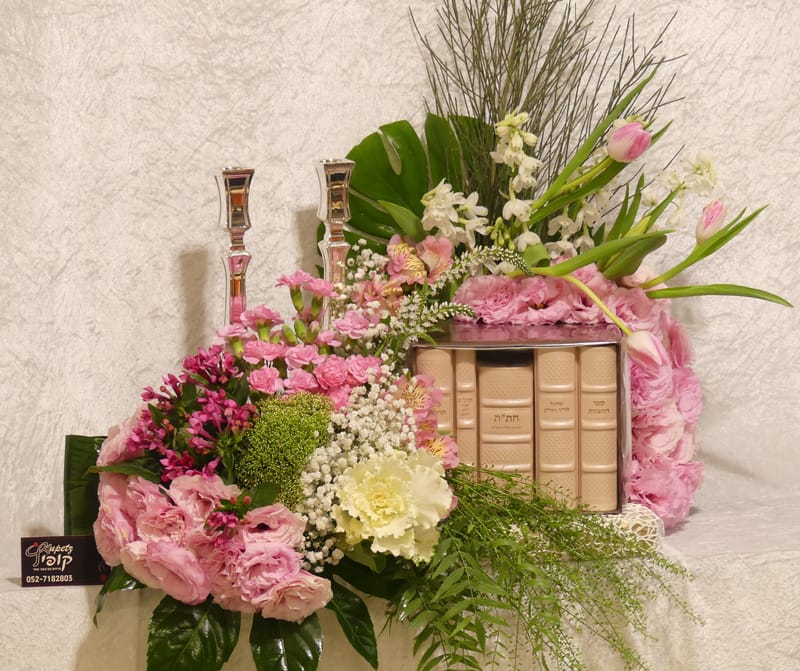 עיצובי מחזורים