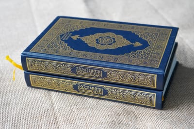 Thème(s) de la sourate image