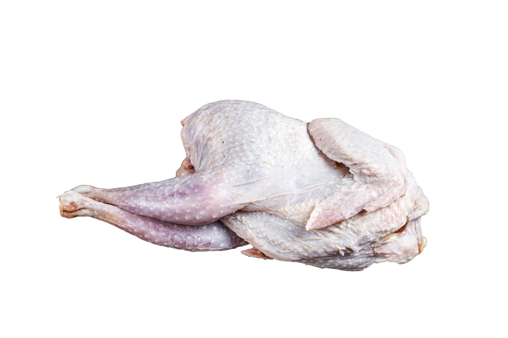Leghorn Whole Chicken
