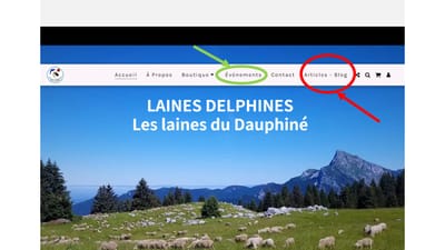 Où trouver et suivre Laines Delphines sur la toile