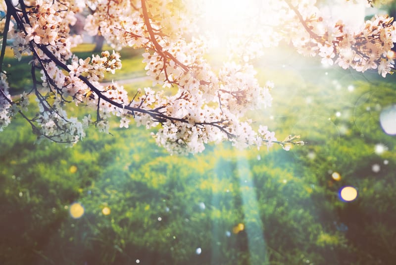 Tavaszi napéjegyenlőség az egyéni képletben