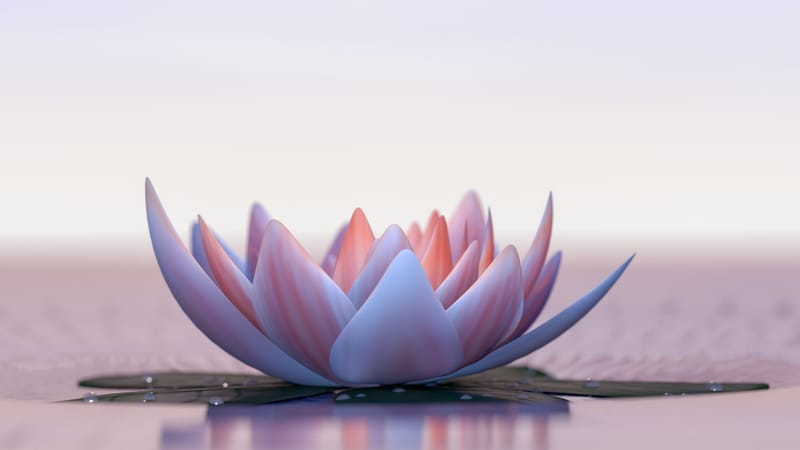 21 Napos Sors-Gyógyító Meditációs Program